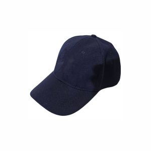 Cap - 6 Panel Brushed