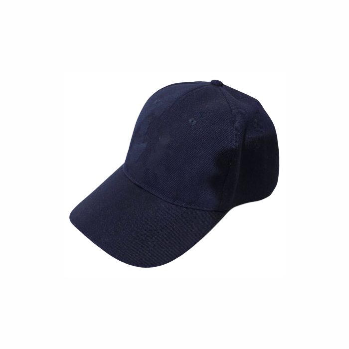 Cap - 6 Panel Brushed