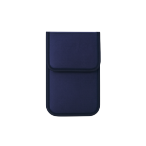 Budget Travel Wallet