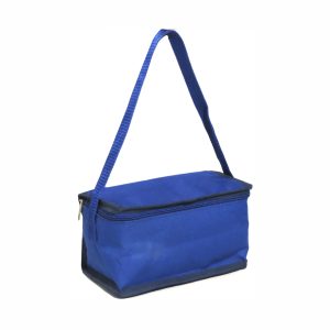 Mini 6 Pack Cooler - Budget