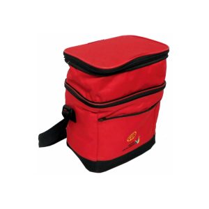 Expandable Cooler Bag