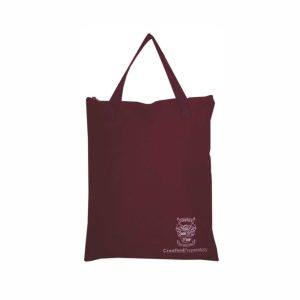 Library Bag